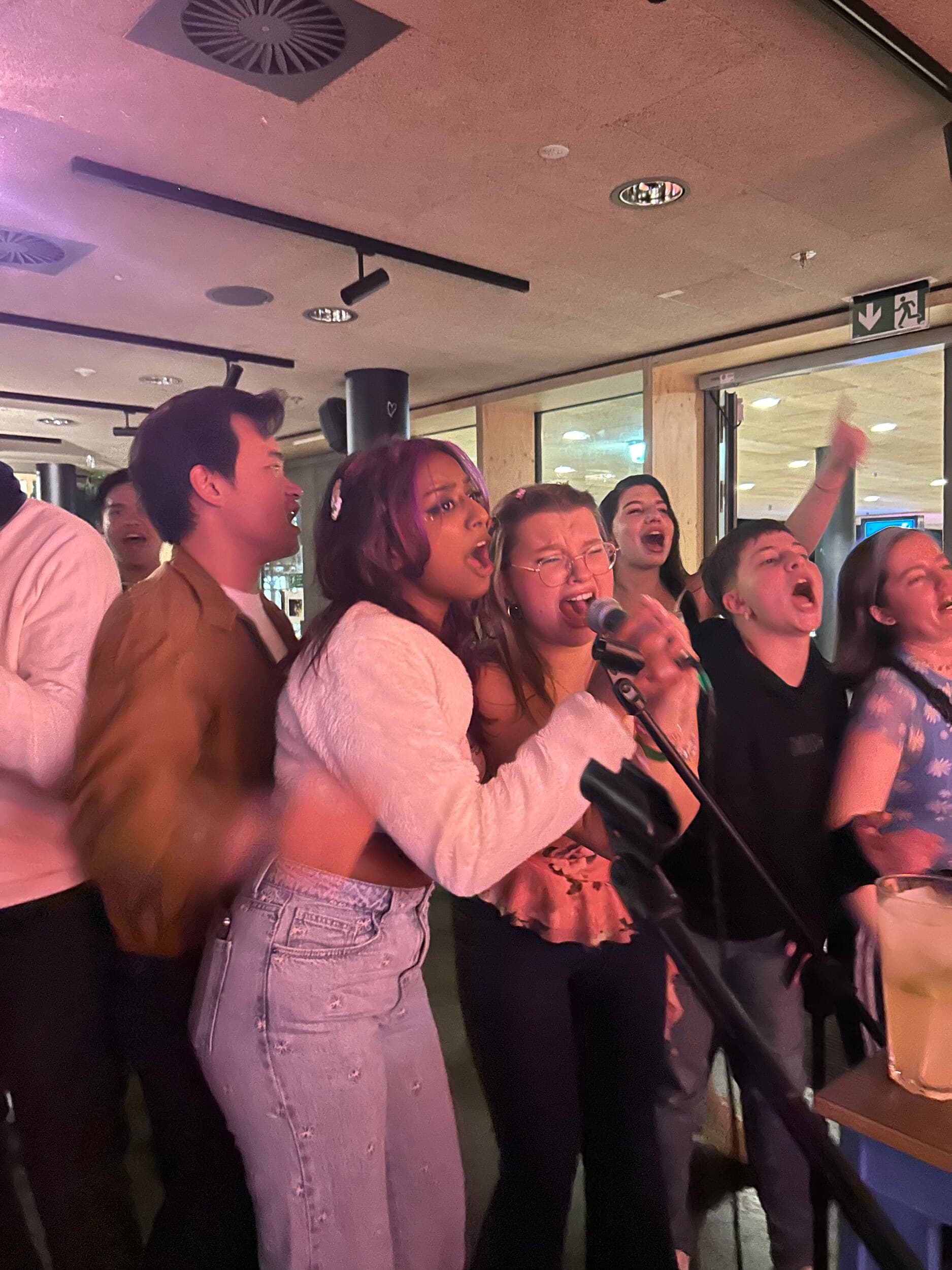 Delegates singing karaoke together at a social evening